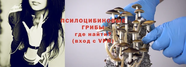 гидра Надым