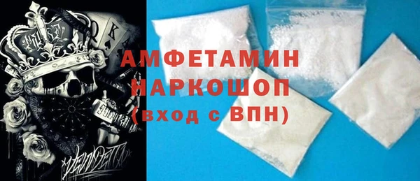 гидра Надым