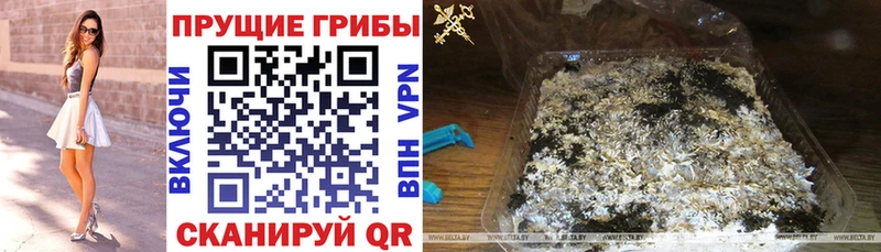 Псилоцибиновые грибы Magic Shrooms Партизанск