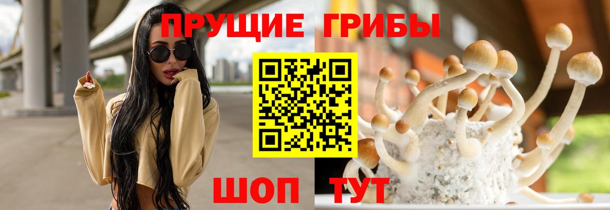 Псилоцибиновые грибы Magic Shrooms  Вход с VPN  где найти наркотики  Партизанск  Псилоцибиновые грибы MAGIC MUSHROOMS 